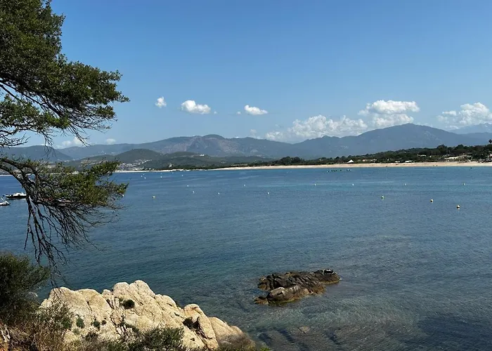 T2 climatisé à Porticcio, 100m de la plage