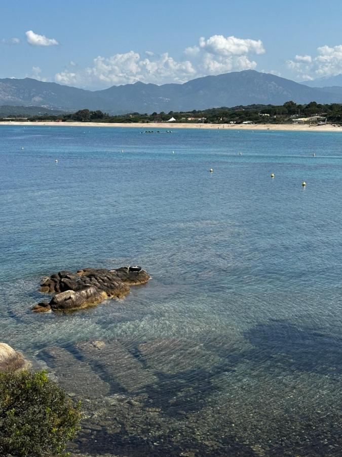 Apartment T2 Climatise A Porticcio, 100m De La Wifi Fibre *