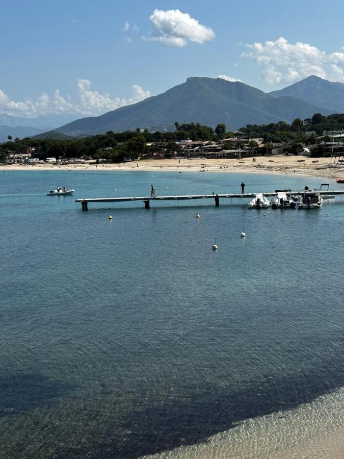 T2 Climatise A Porticcio, 100m De La Wifi Fibre Apartment Porticcio (Corsica)